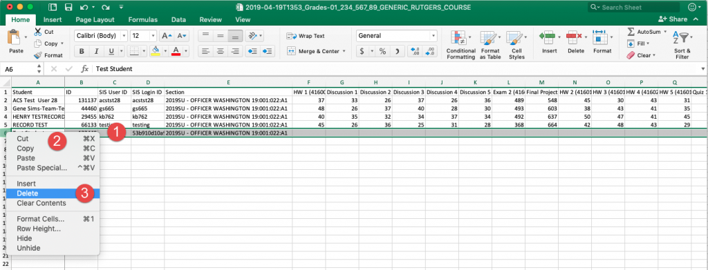 Canvas gradebook export in MS Excel with test student row highlighted