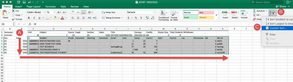 Roster open in Microsoft Excel with custom sort