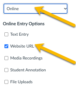 Canvas Online Submission type with Website URL options